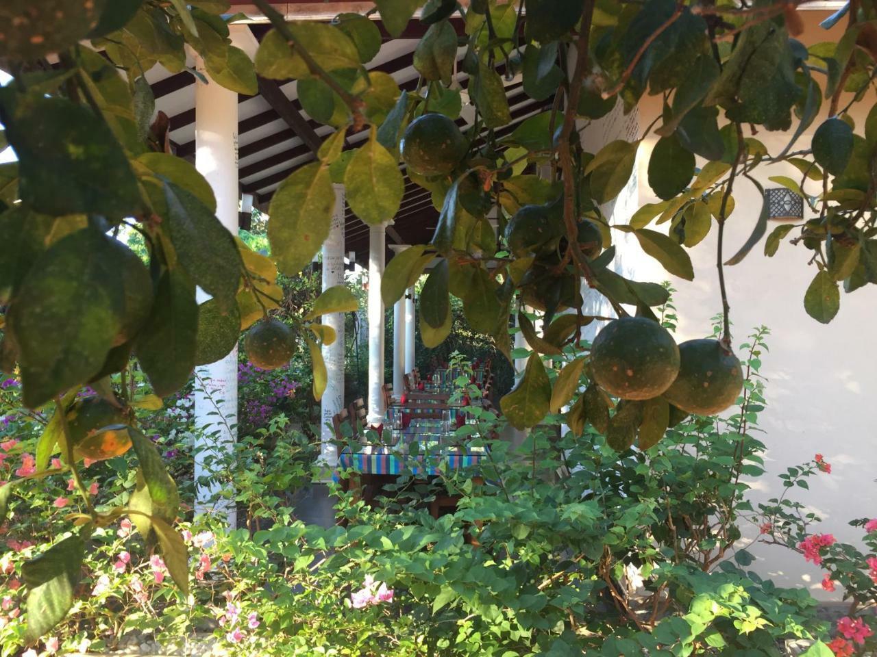 锡吉里亚 女神花园旅馆酒店 外观 照片