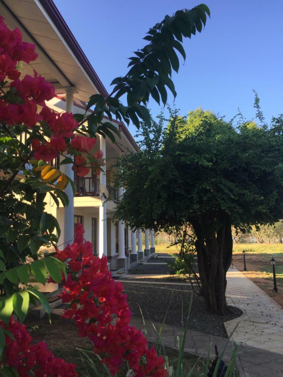 锡吉里亚 女神花园旅馆酒店 外观 照片