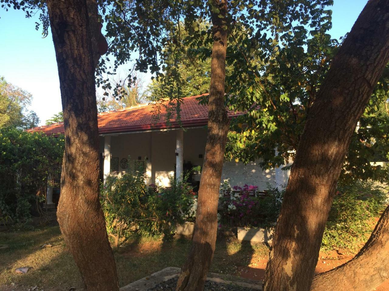 锡吉里亚 女神花园旅馆酒店 外观 照片